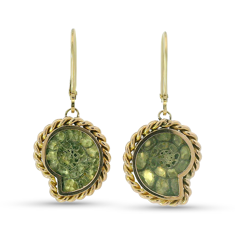 1870 Collection 14k Yellow Gold Ammonite Fossil Dangle Earrings