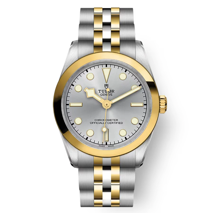TUDOR Black Bay 31 S&G Silver Dial, Yellow Gold Bezel, Stainless Steel Bracelet (M79603-0002)