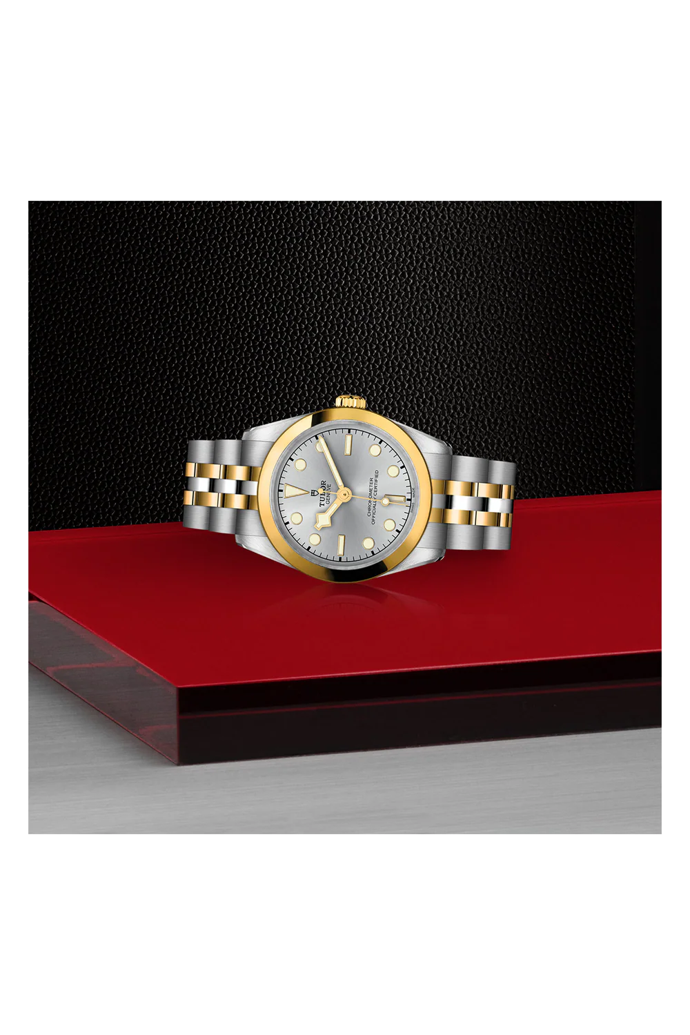 TUDOR Black Bay 31 S&G Silver Dial, Yellow Gold Bezel, Stainless Steel Bracelet (M79603-0002) - Image 4