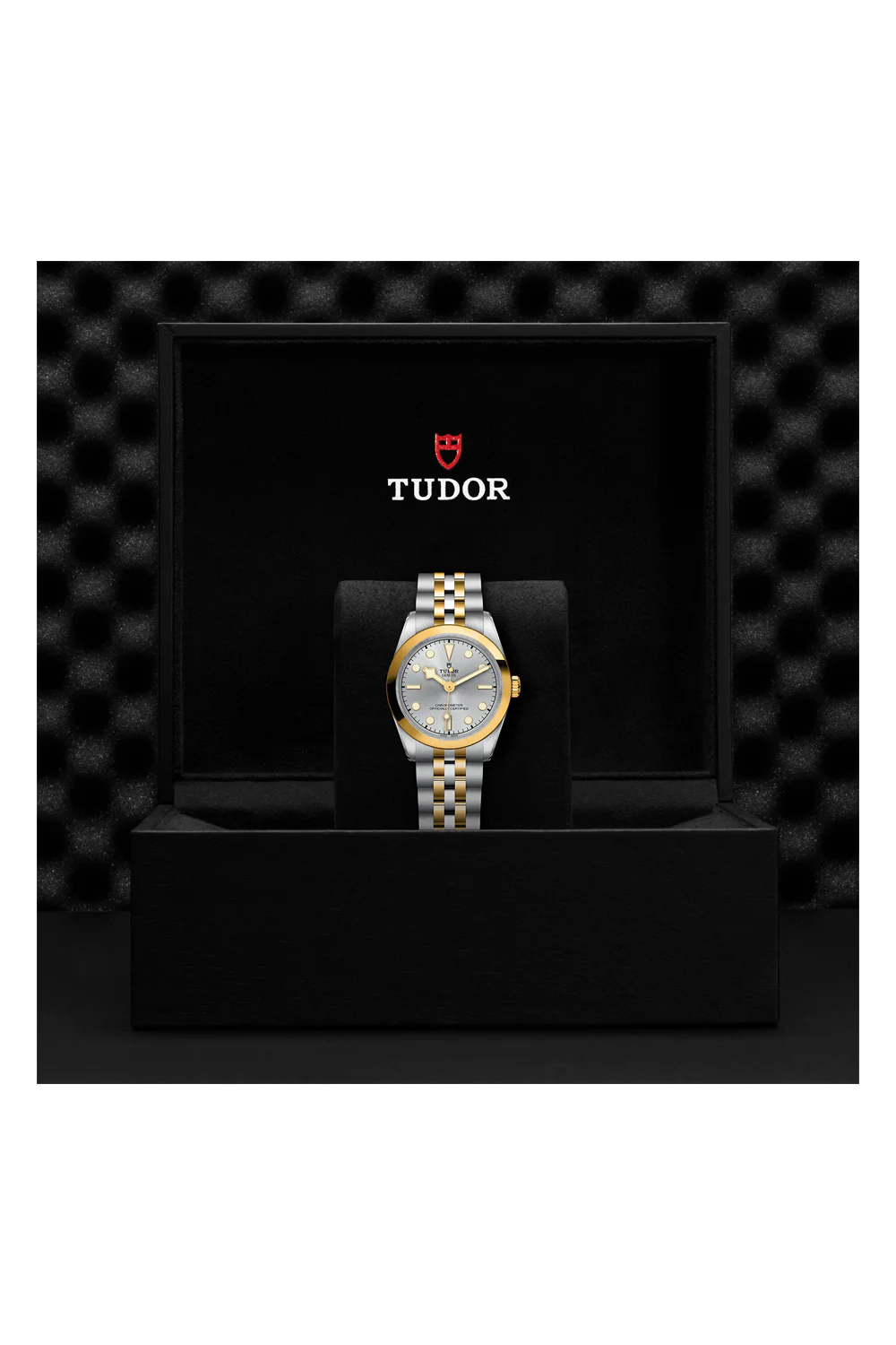 TUDOR Black Bay 31 S&G Silver Dial, Yellow Gold Bezel, Stainless Steel Bracelet (M79603-0002) - Image 5