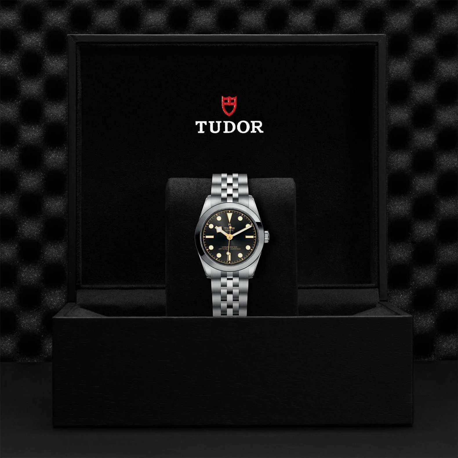 TUDOR Black Bay 31mm Case, Anthracite Dial, Steel Strap (M79600-0001) - Image 2