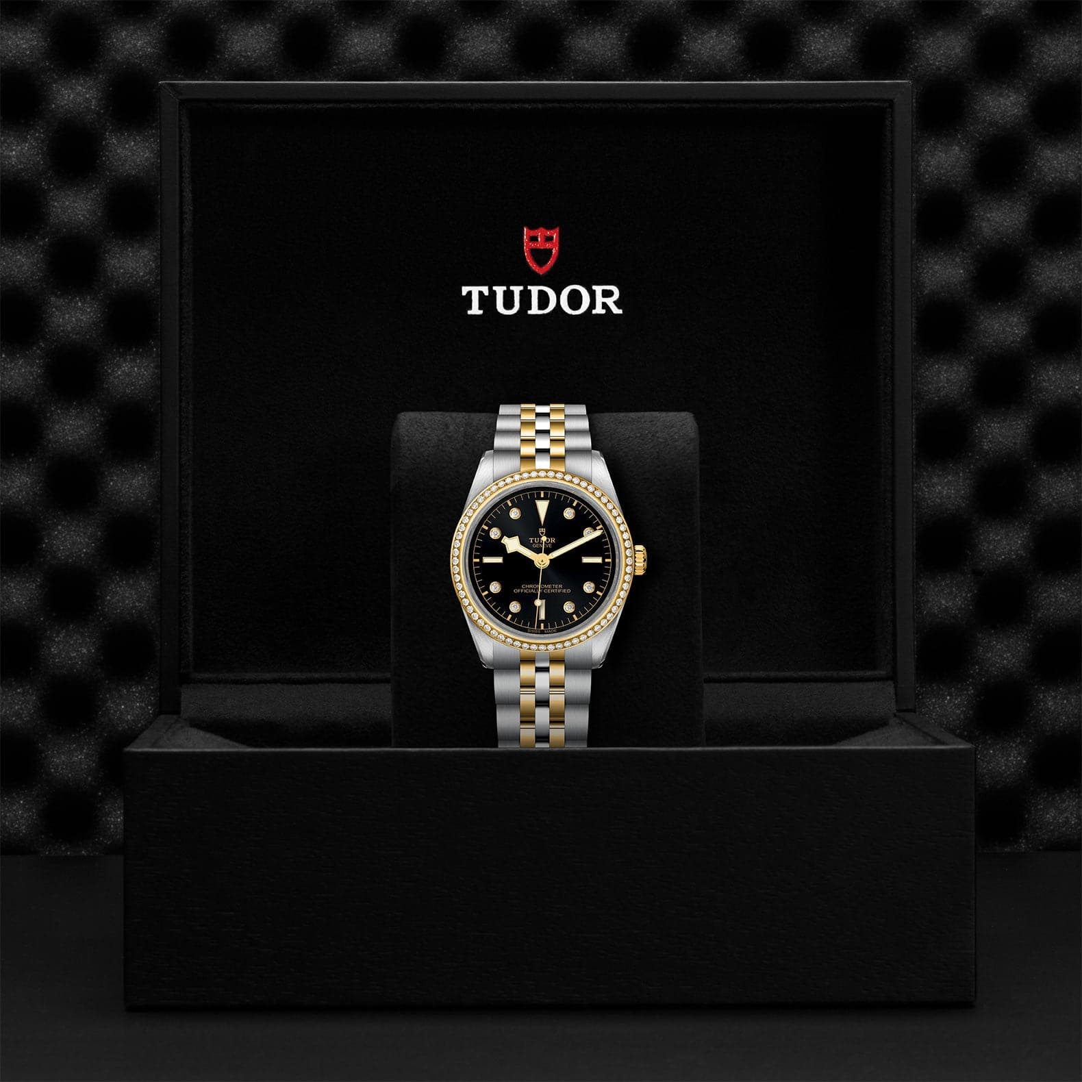 TUDOR Black Bay S&G 36mm Case, Black Dial, Steel and Yellow Gold Strap (M79653-0005) - Image 2