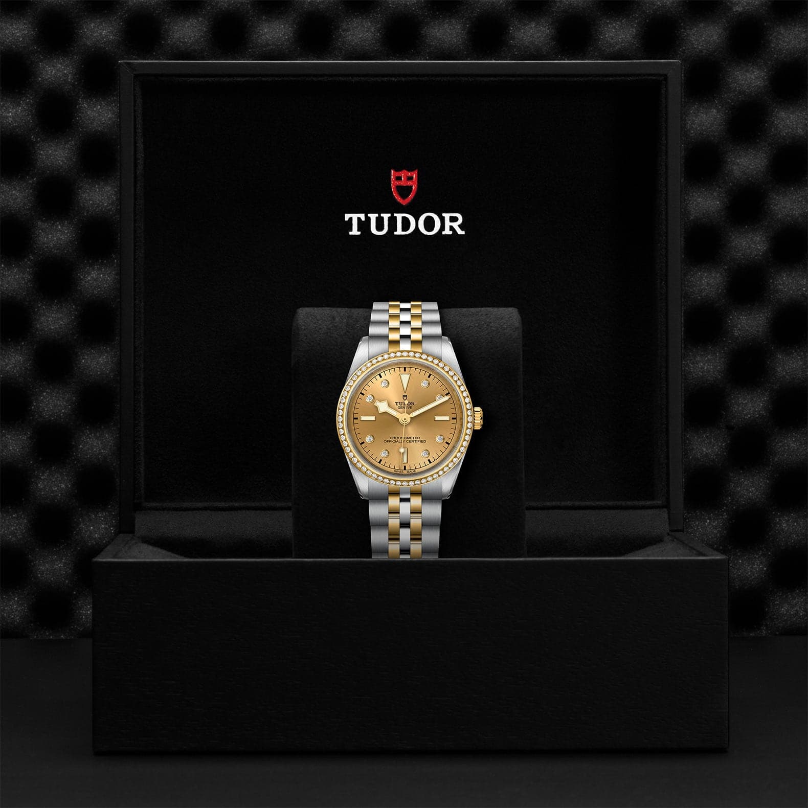 TUDOR Black Bay S&G 36mm Case, Champagne Diamond Dial, Steel and Yellow Gold Strap (M79653-0007) - Image 2