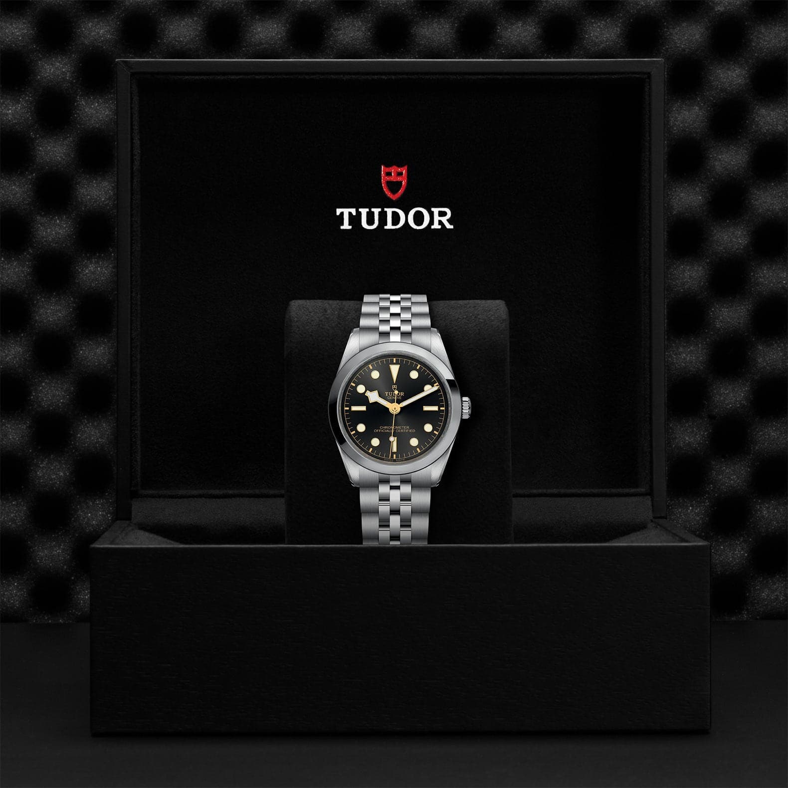 TUDOR Black Bay 36mm Steel Case, Anthracite Dial, Steel Strap (M79640-0001) - Image 2