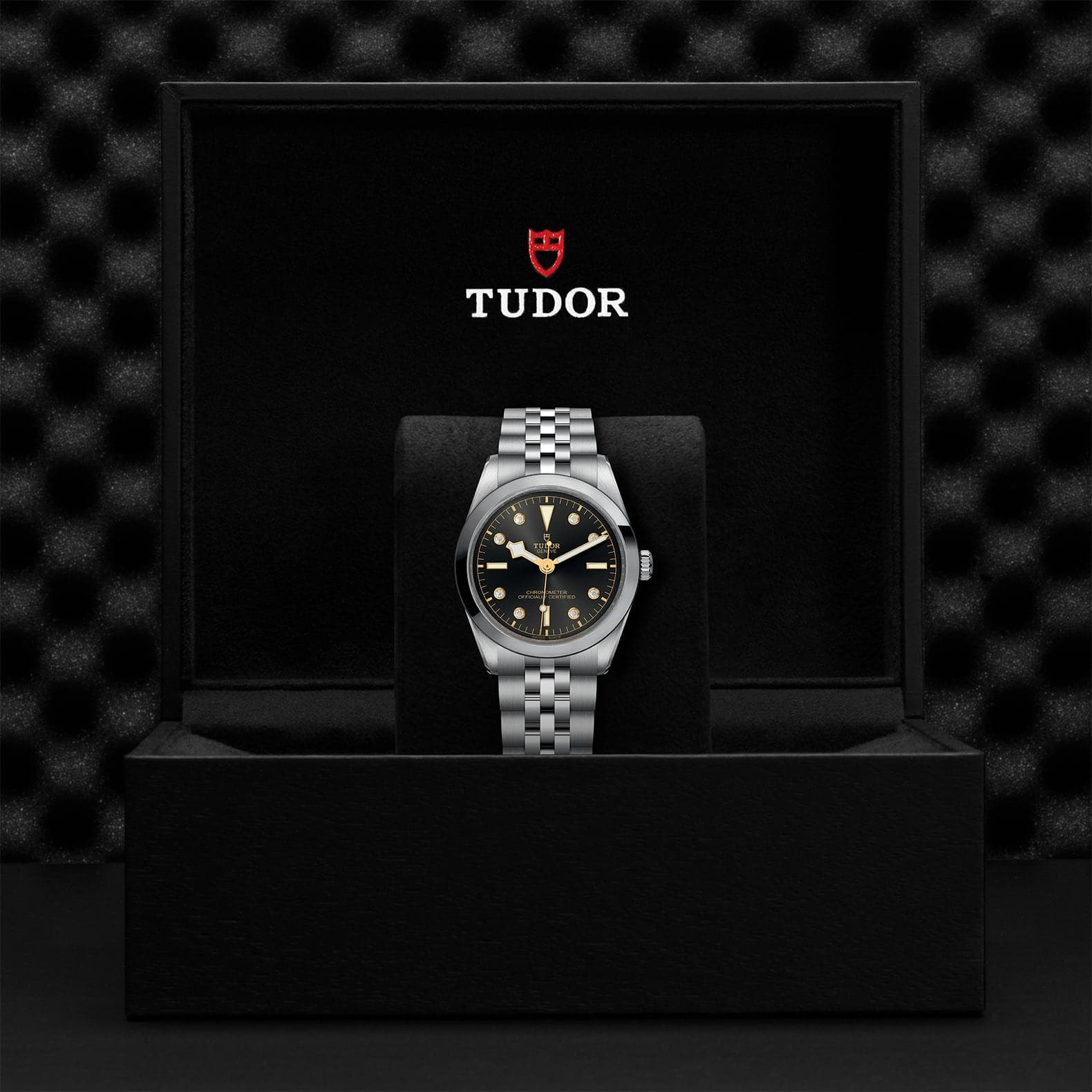 TUDOR Black Bay 36mm Case, Anthracite Diamond Dial, Steel Strap (M79640-0004) - Image 2
