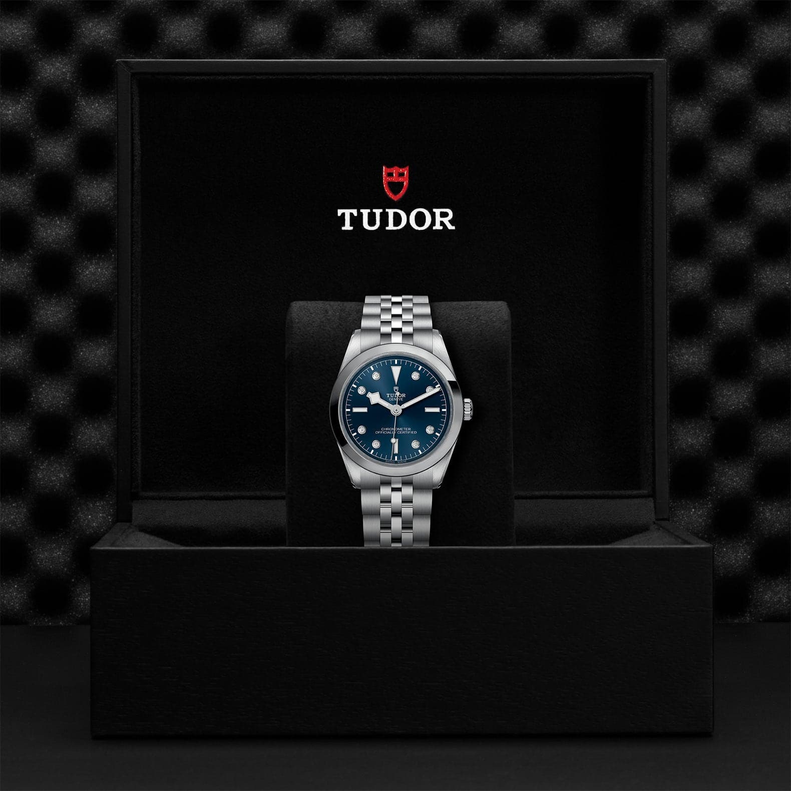 TUDOR Black Bay 36mm Case, Blue Diamond Dial, Steel Strap (M79640-0005) - Image 2