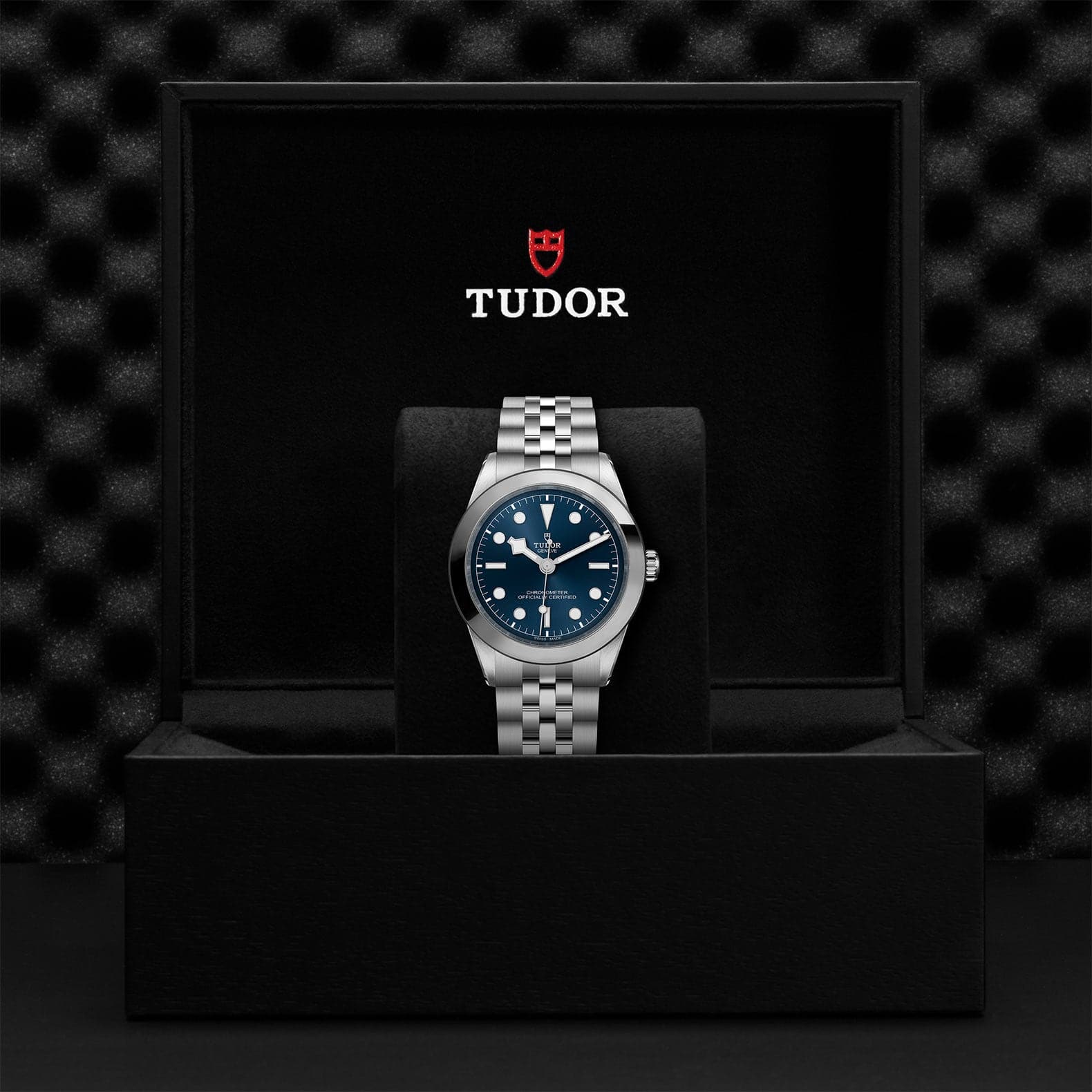 TUDOR Black Bay 39mm Case, Blue Dial, Steel Strap (M79660-0002) - Image 2