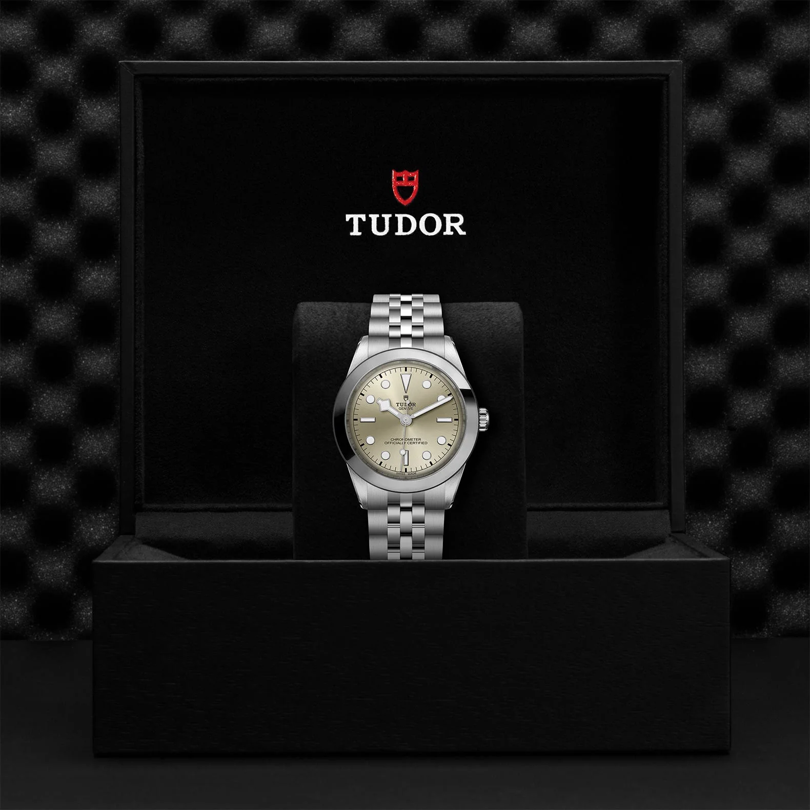 TUDOR Black Bay 39mm Case, Light Champagne Dial, Steel Strap (M79660-0003) - Image 2
