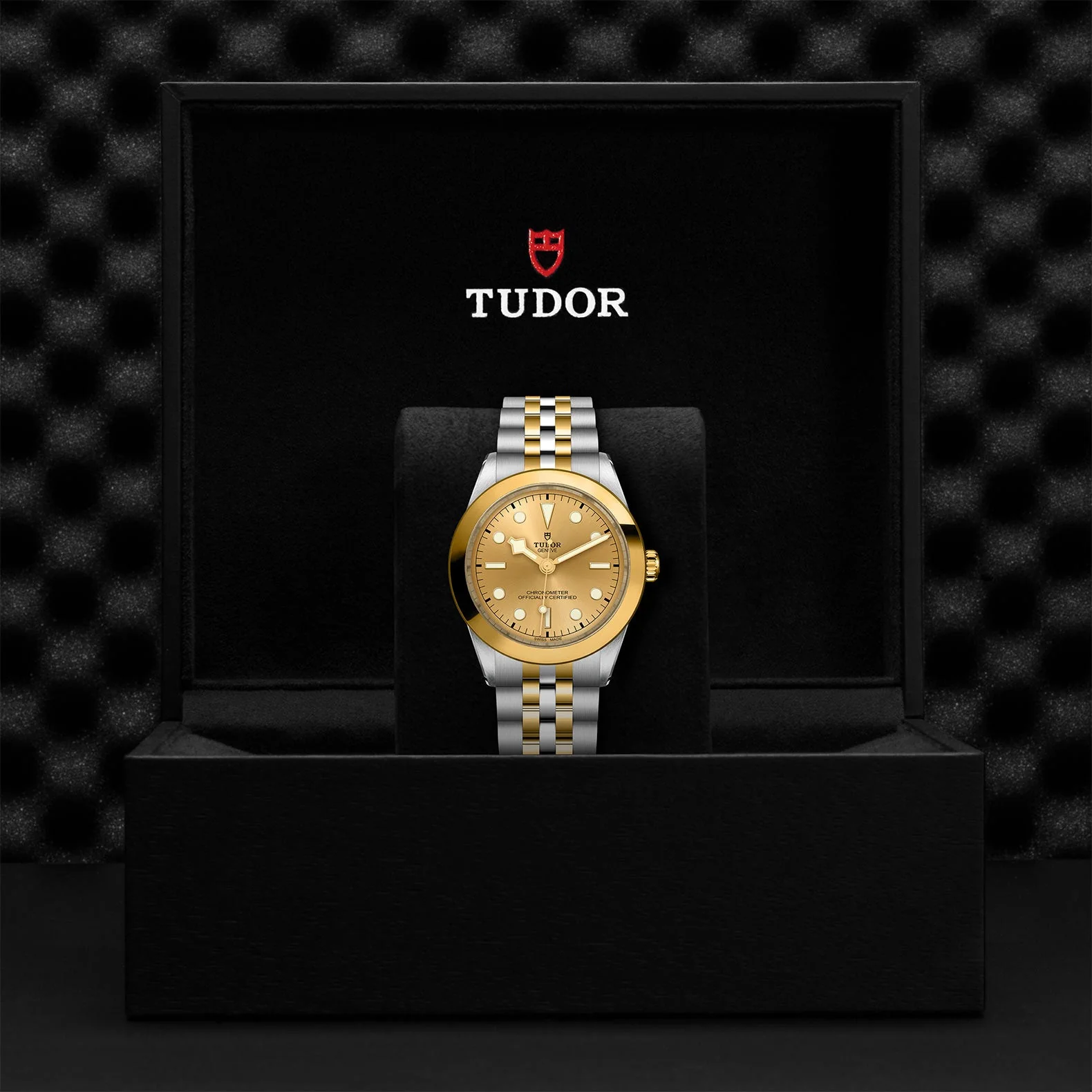 TUDOR Black Bay S&G 39mm Case, Champagne Dial, Steel & Yellow Gold Strap (M79663-0005) - Image 2