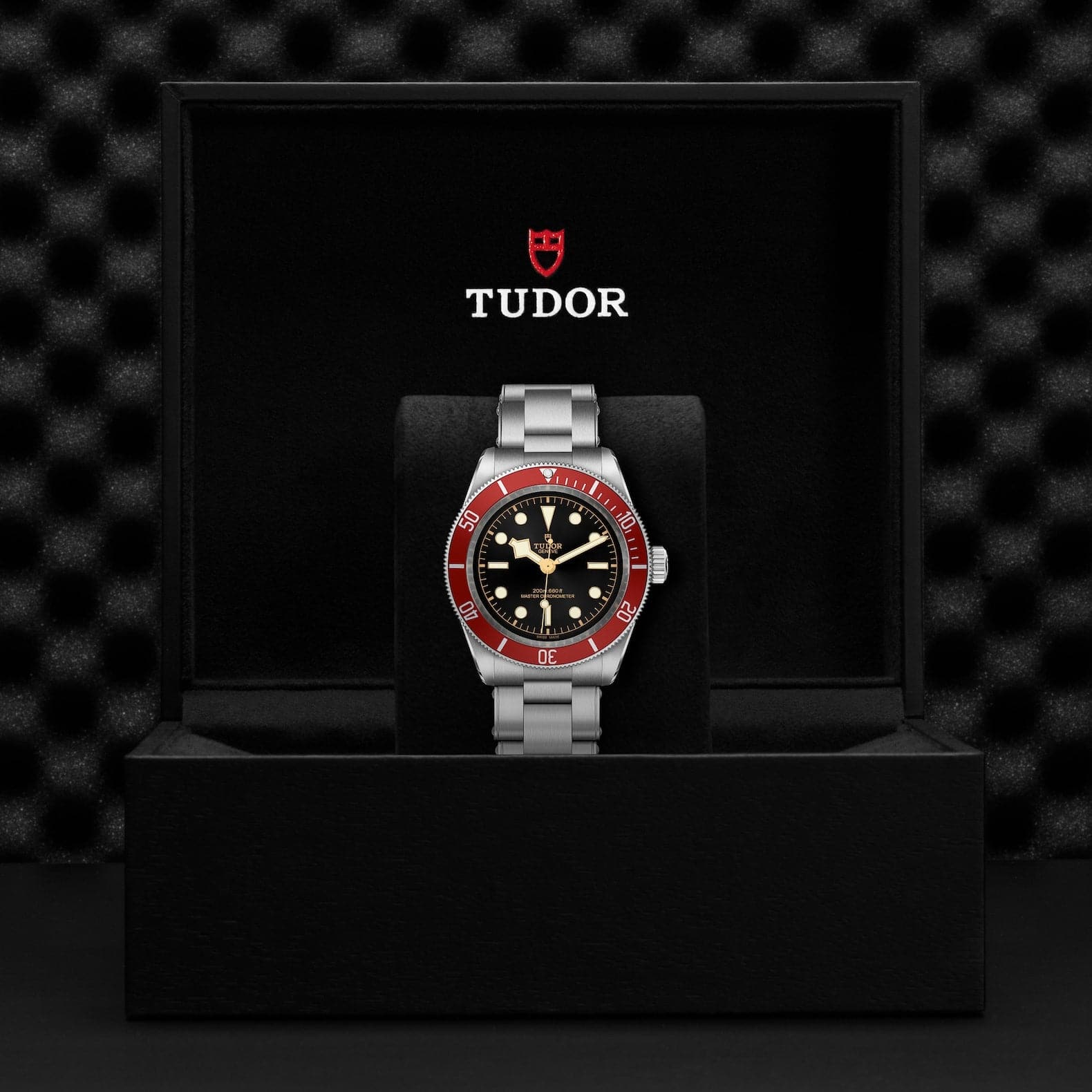 TUDOR Black Bay 41mm Case, Black Dial, Steel Bracelet (M7941A1A0RU-0001) - Image 2