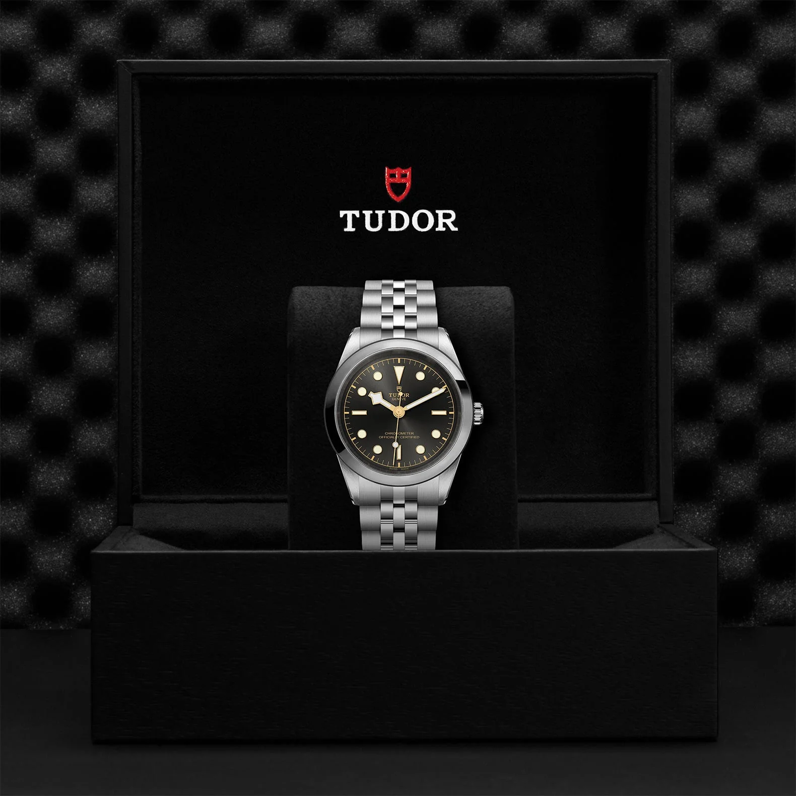 TUDOR Black Bay 41mm Case, Anthracite Dial, Steel Strap (M79680-0001) - Image 2