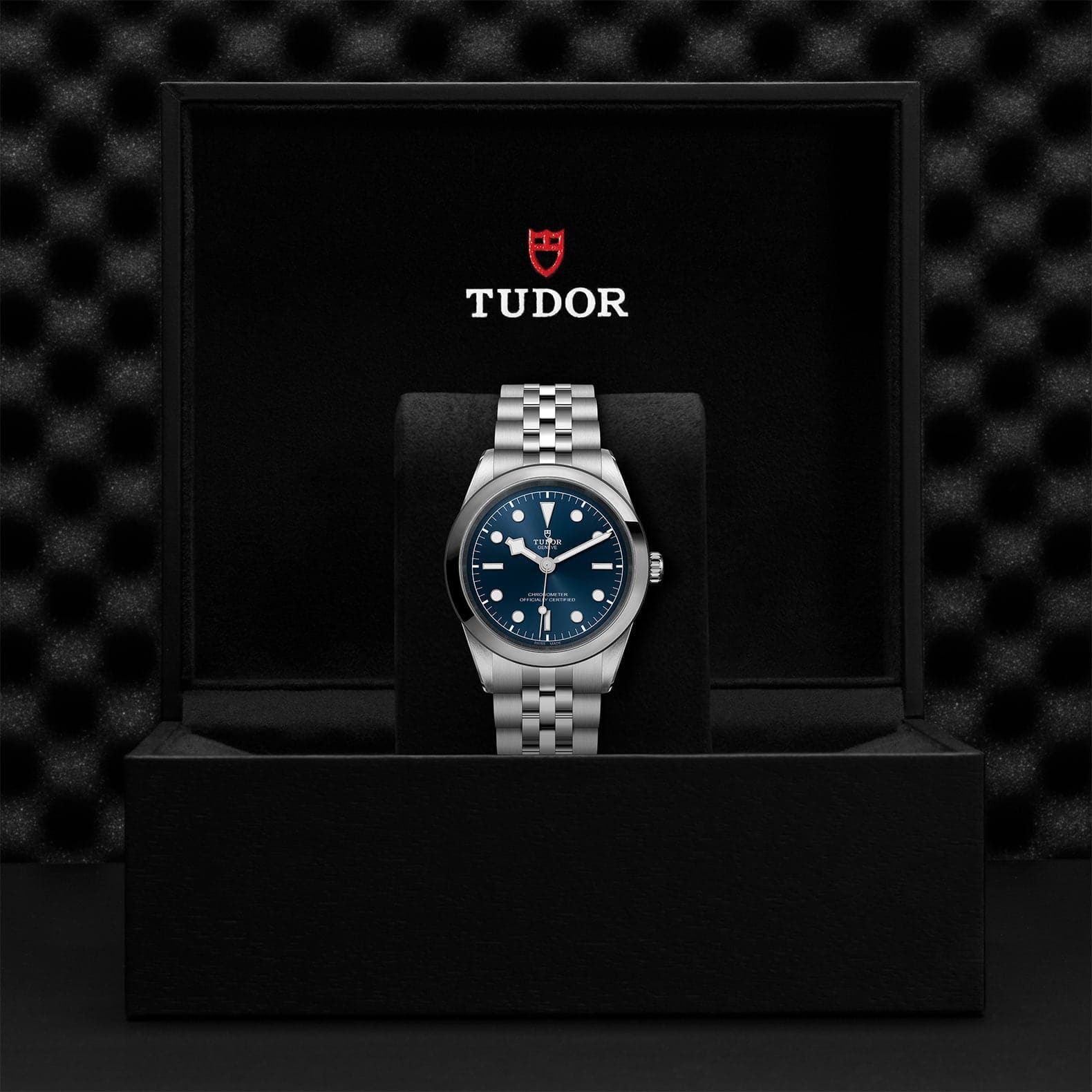 TUDOR Black Bay 41mm Case, Blue Dial, Steel Strap (M79680-0002) - Image 2