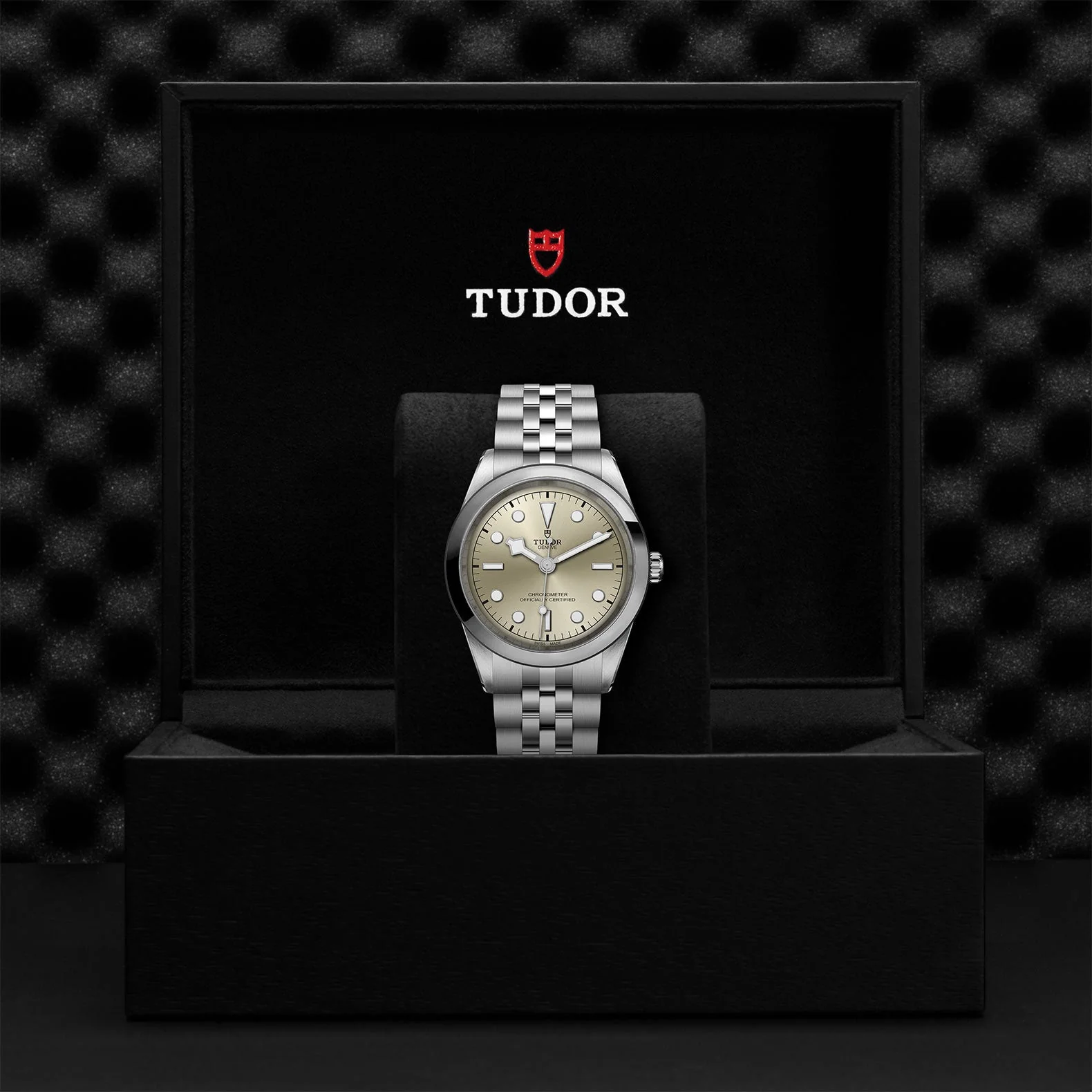 TUDOR Black Bay 41mm Case, Light Champagne Dial, Steel Strap (M79680-0003) - Image 2