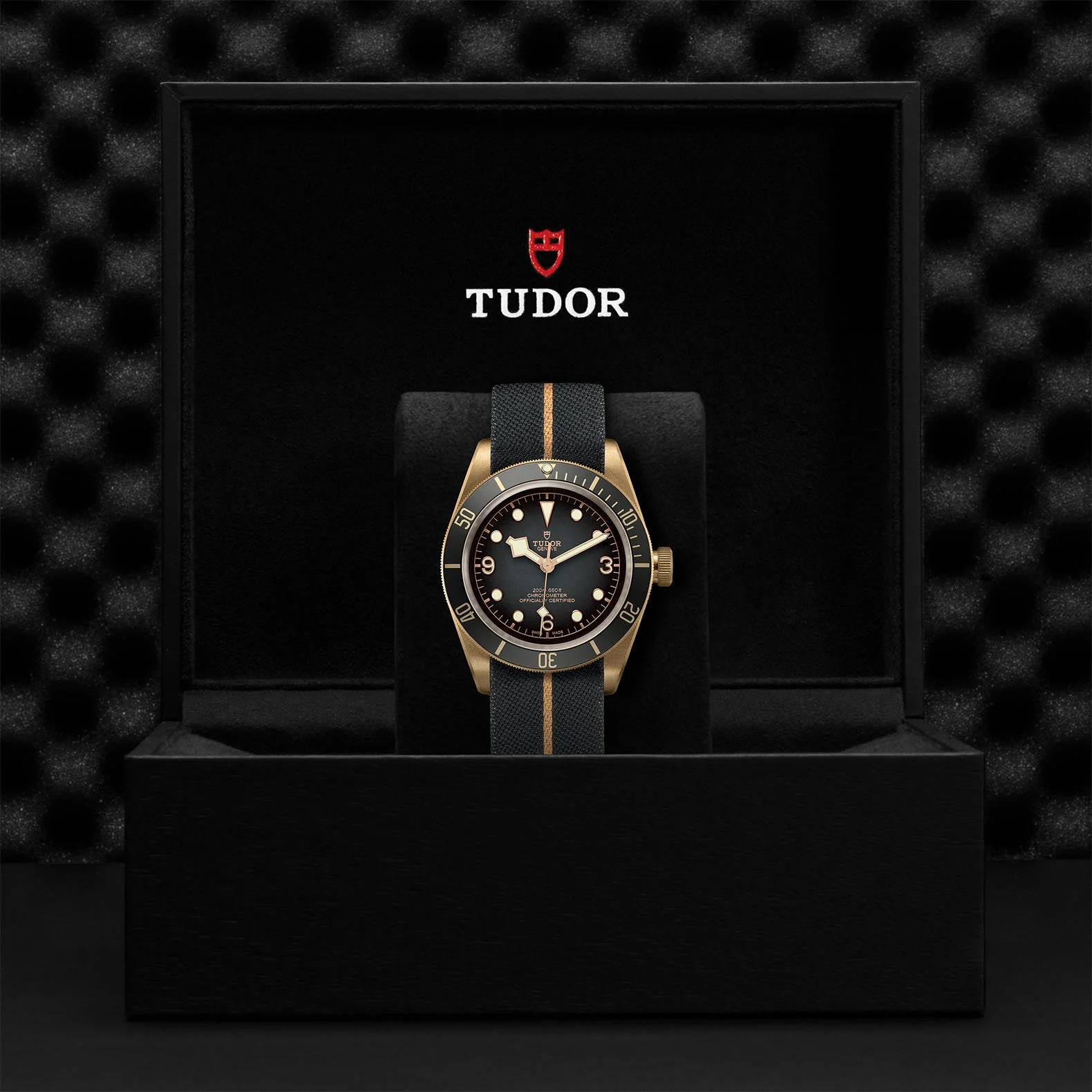 TUDOR Black Bay 43mm Bronze Case, Slate Grey Dial, Fabric Strap (M79250BA-0002) - Image 4
