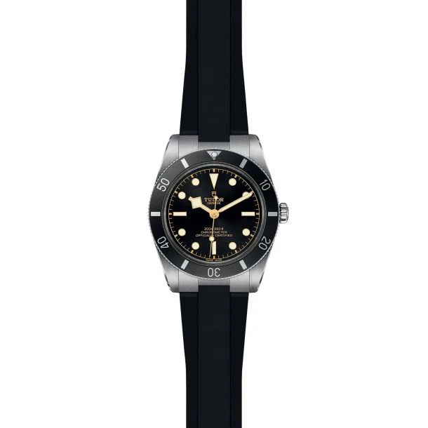 TUDOR Black Bay 54 37mm Case, Black Dial, Black Rubber Bracelet (M79000N-0002) - Image 2