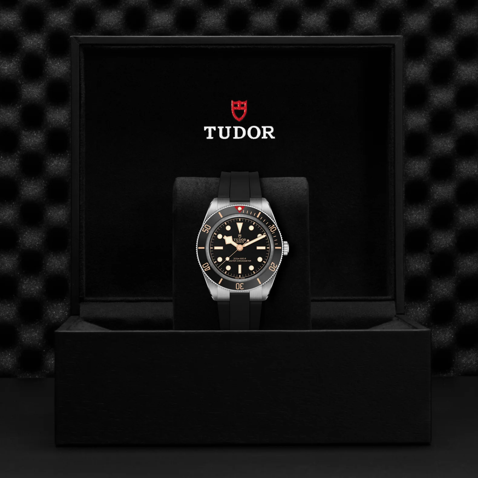 TUDOR Black Bay 58 39mm Black Dial, Rubber Bracelet (M7939A1A0NU-0003) - Image 4