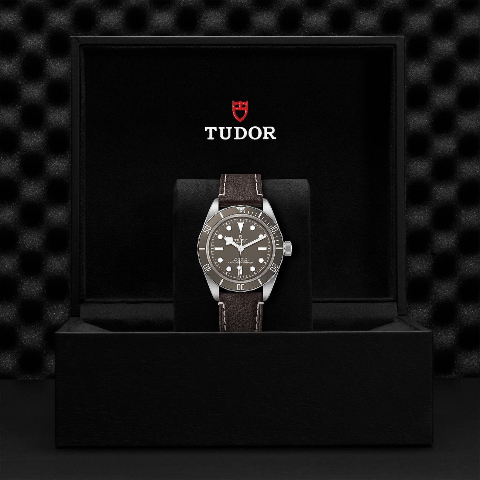 TUDOR Black Bay 58 925 39mm Silver Case, Taupe Dial, Brown Leather Strap (M79010SG-0001) - Image 4