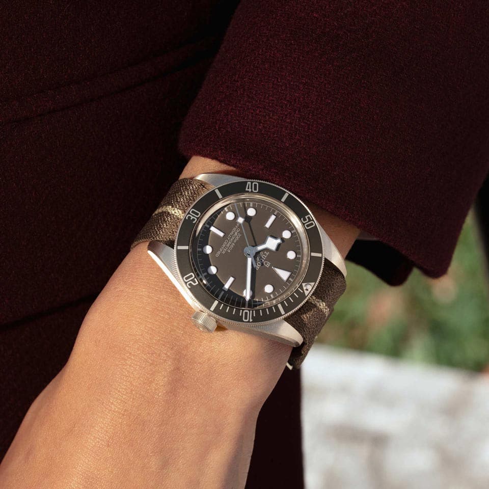 TUDOR Black Bay 58 925 39mm Silver Case, Taupe Dial, Fabric Strap (M79010SG-0002) - Image 2