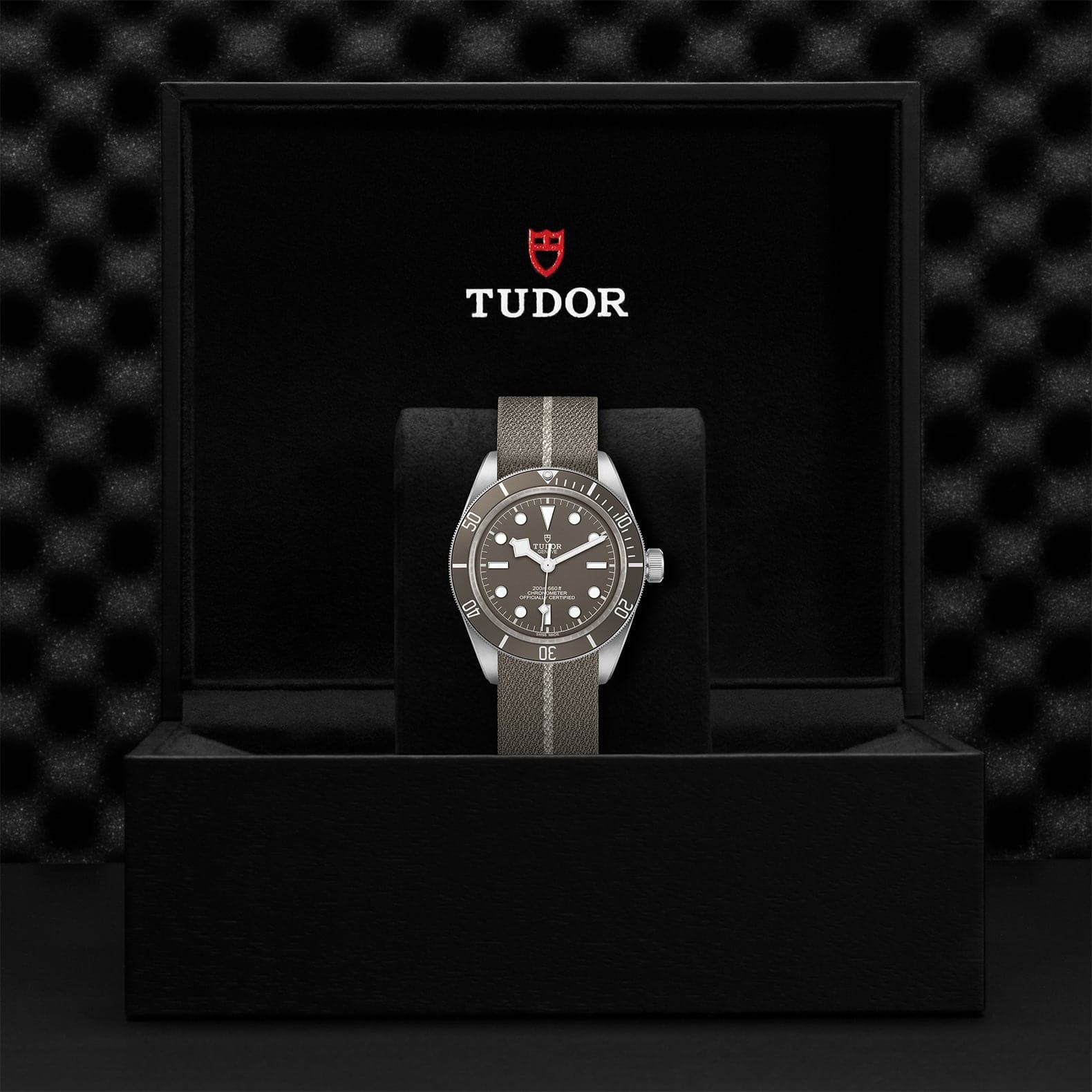TUDOR Black Bay 58 925 39mm Silver Case, Taupe Dial, Fabric Strap (M79010SG-0002) - Image 4