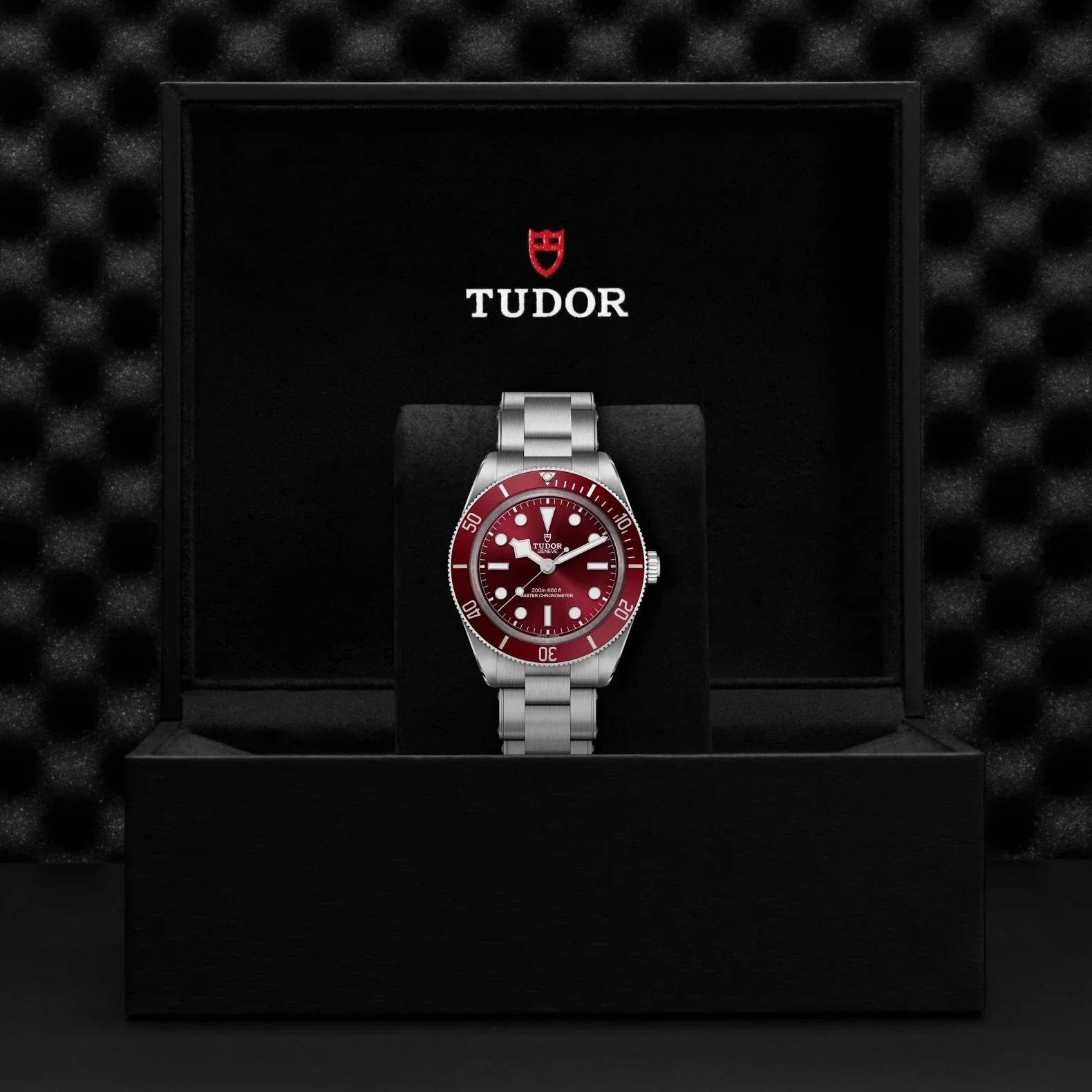 TUDOR Black Bay 58, Burgundy Dial, Steel Bracelet (M7939A1A0RU-0002) - Image 2