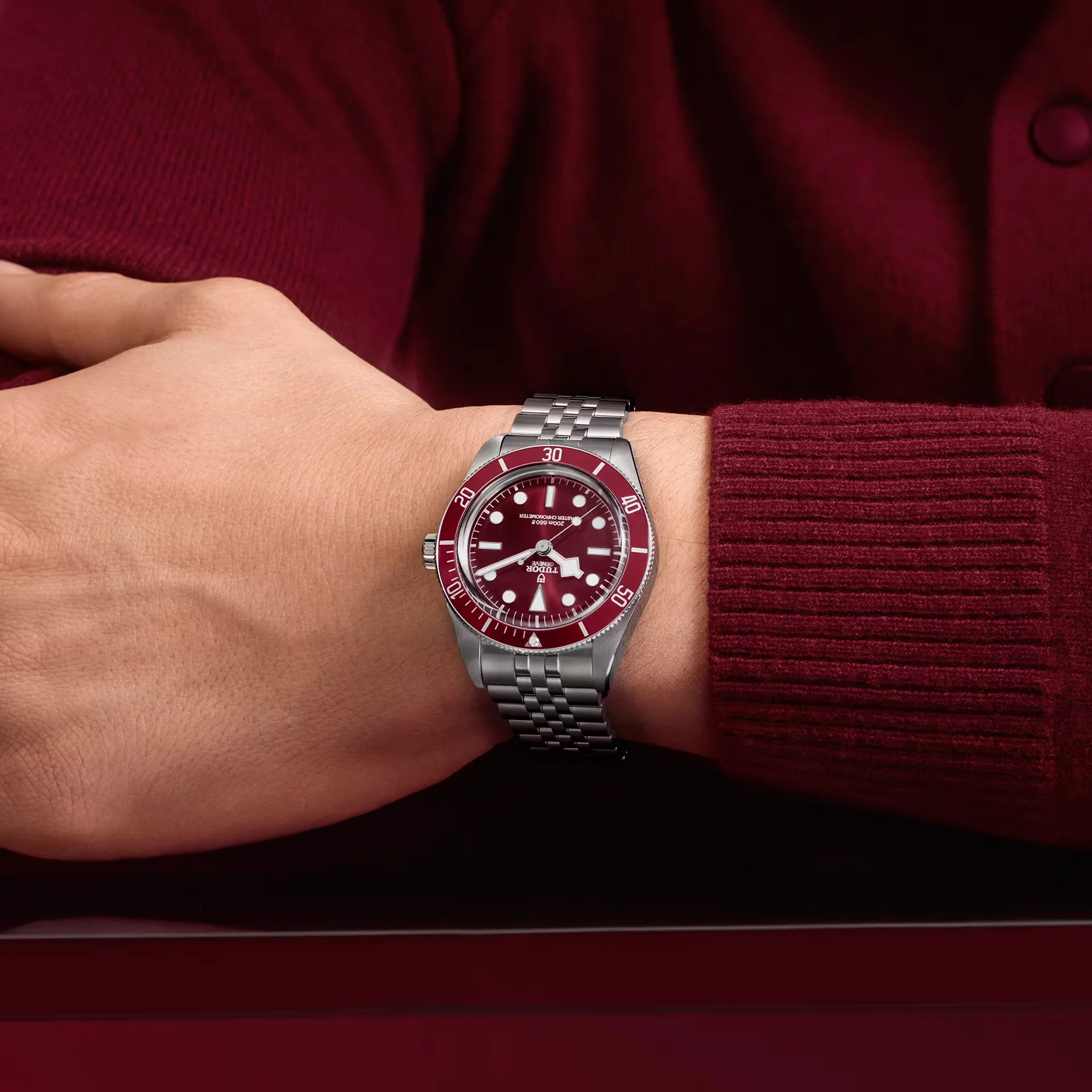 TUDOR Black Bay 58, Burgundy Dial, Steel Bracelet (M7939A1A0RU-0001) - Image 3
