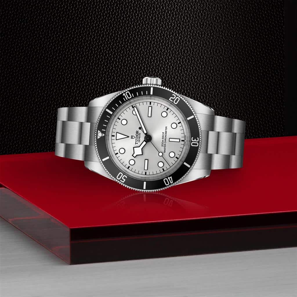 TUDOR Black Bay 68, Silver Dial, Steel Bracelet (M7943A1A0NU-0002) - Image 3