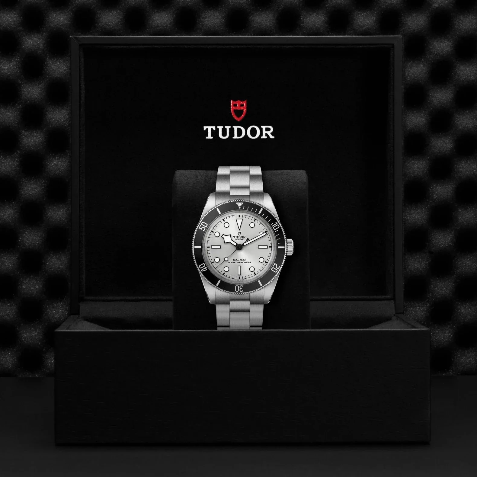 TUDOR Black Bay 68, Silver Dial, Steel Bracelet (M7943A1A0NU-0002) - Image 4