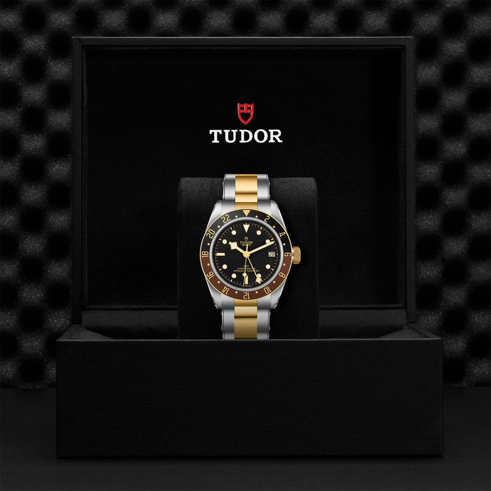 TUDOR Black Bay GMT S&G 41mm Case, Black Dial, Steel and Yellow Gold Bracelet (M79833MN-0001) - Image 5