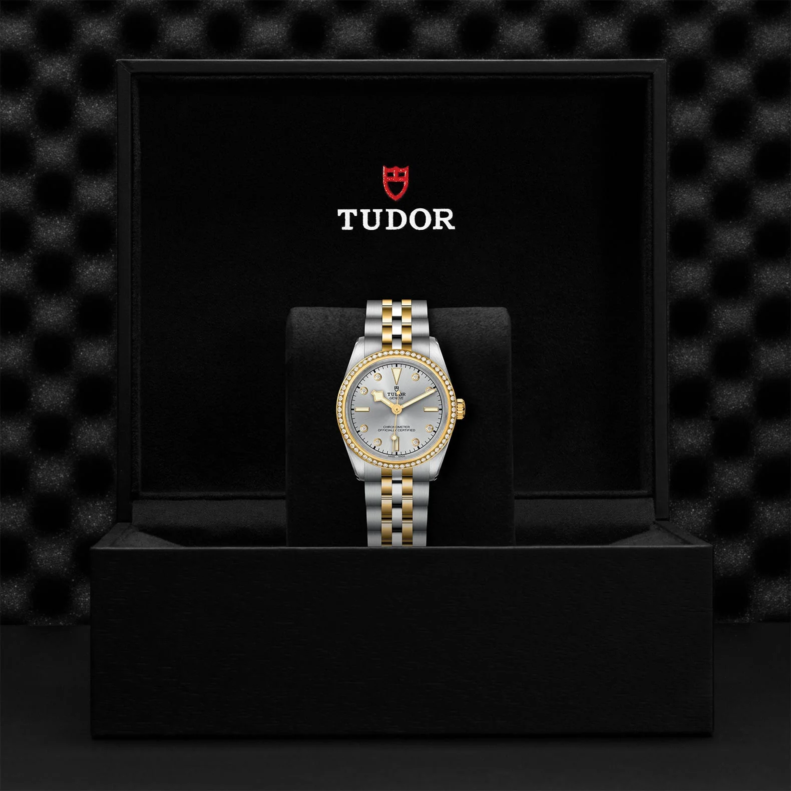 TUDOR Black Bay S&G 31mm Case, Silver Diamond Dial and Bezel, Steel & Yellow Gold Bracelet (M79613-0006) - Image 2
