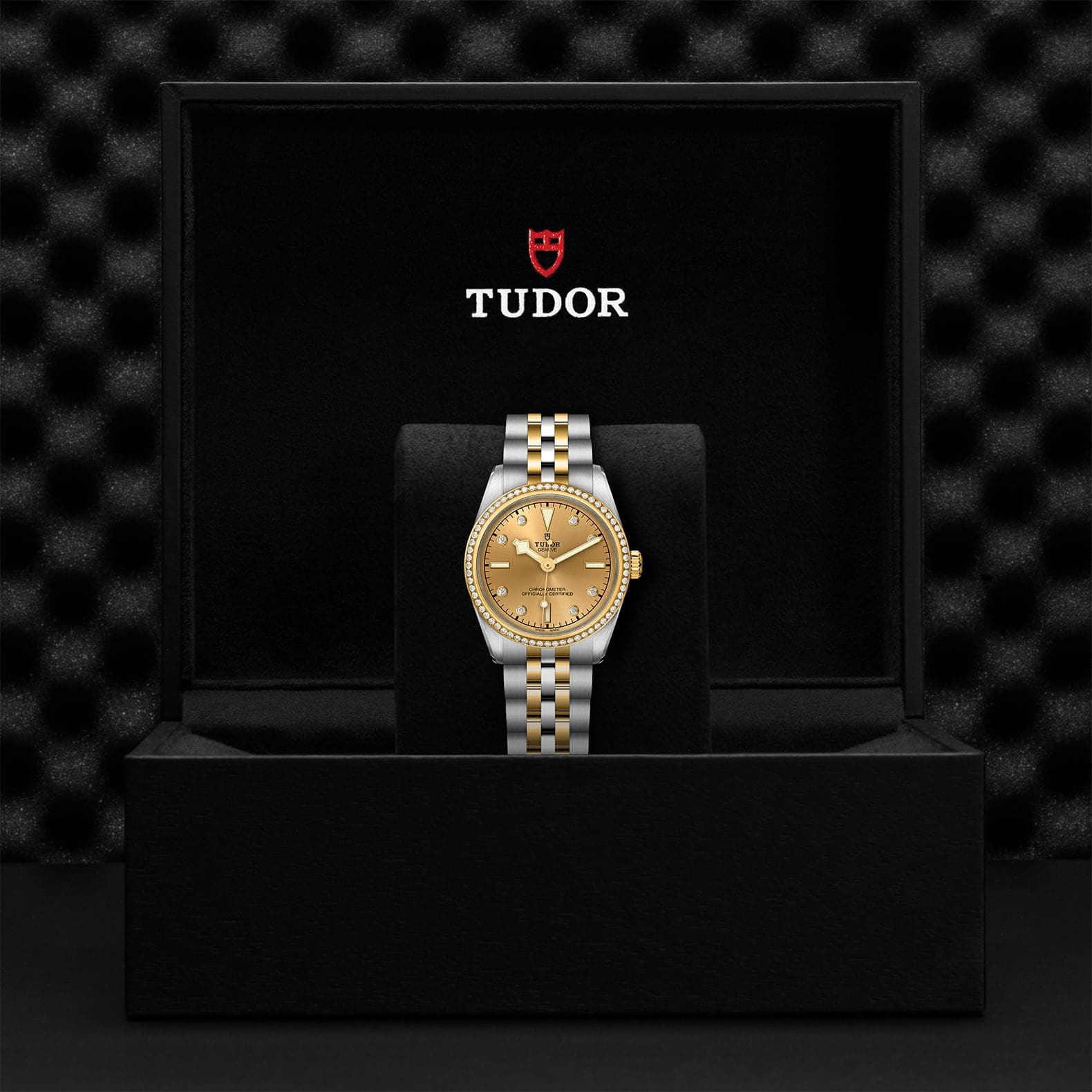 TUDOR Black Bay S&G 31mm Case, Champagne Diamond Dial, Steel and Yellow Gold Bracelet (M79613-0007) - Image 2