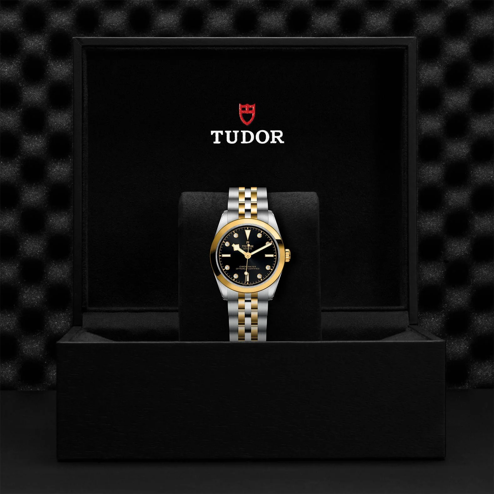 TUDOR Black Bay S&G 31mm Case, Anthracite Diamond Dial, Steel & Yellow Gold Strap (M79603-0006) - Image 2