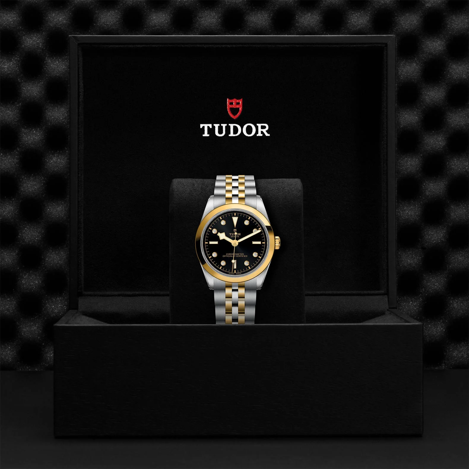 TUDOR Black Bay S&G 36mm Case, Black Diamond Dial, Steel & Yellow Gold Bracelet (M79643-0006) - Image 2