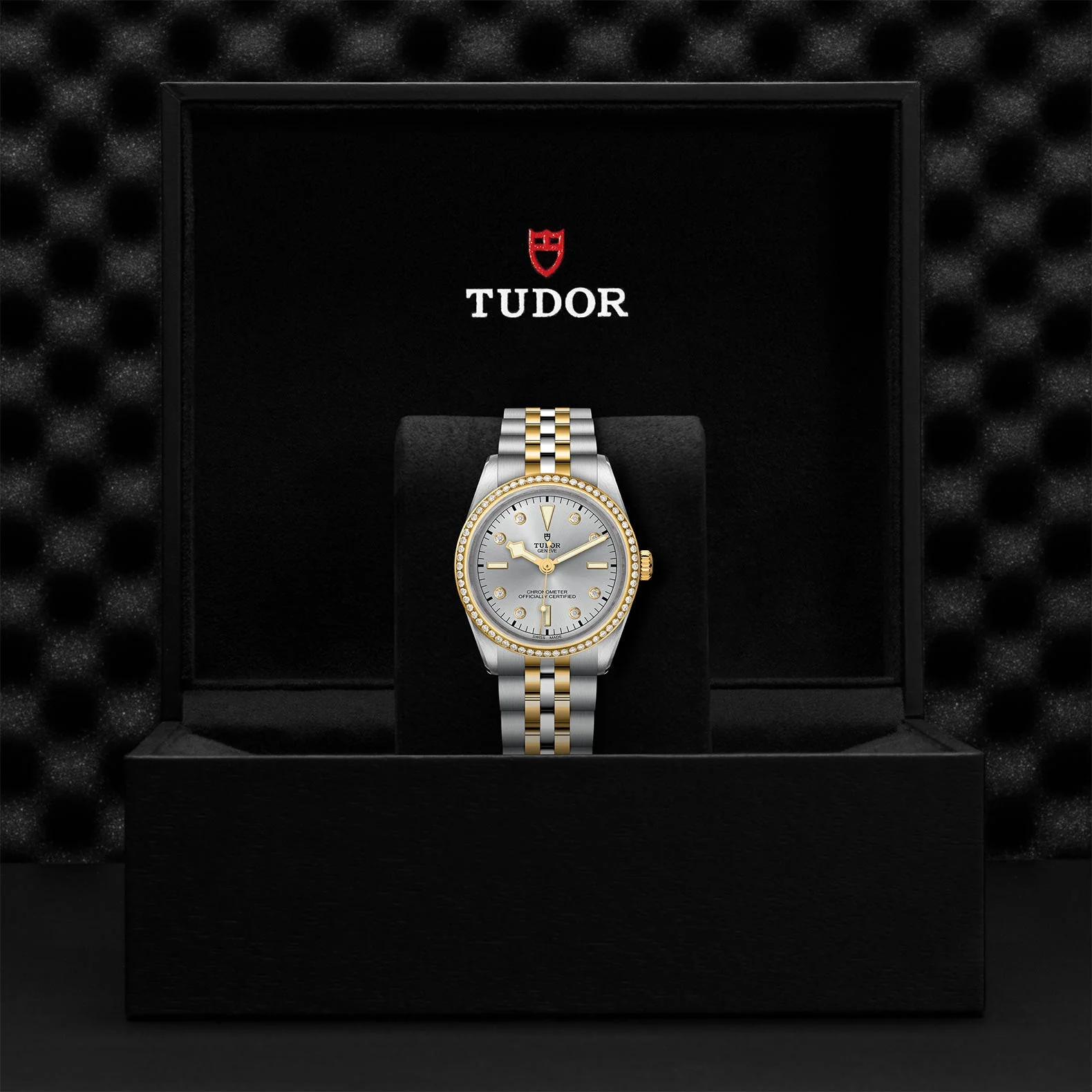 TUDOR Black Bay S&G 36mm Case, Silver Diamond Dial, Steel and Yellow Gold Strap (M79653-0006) - Image 2