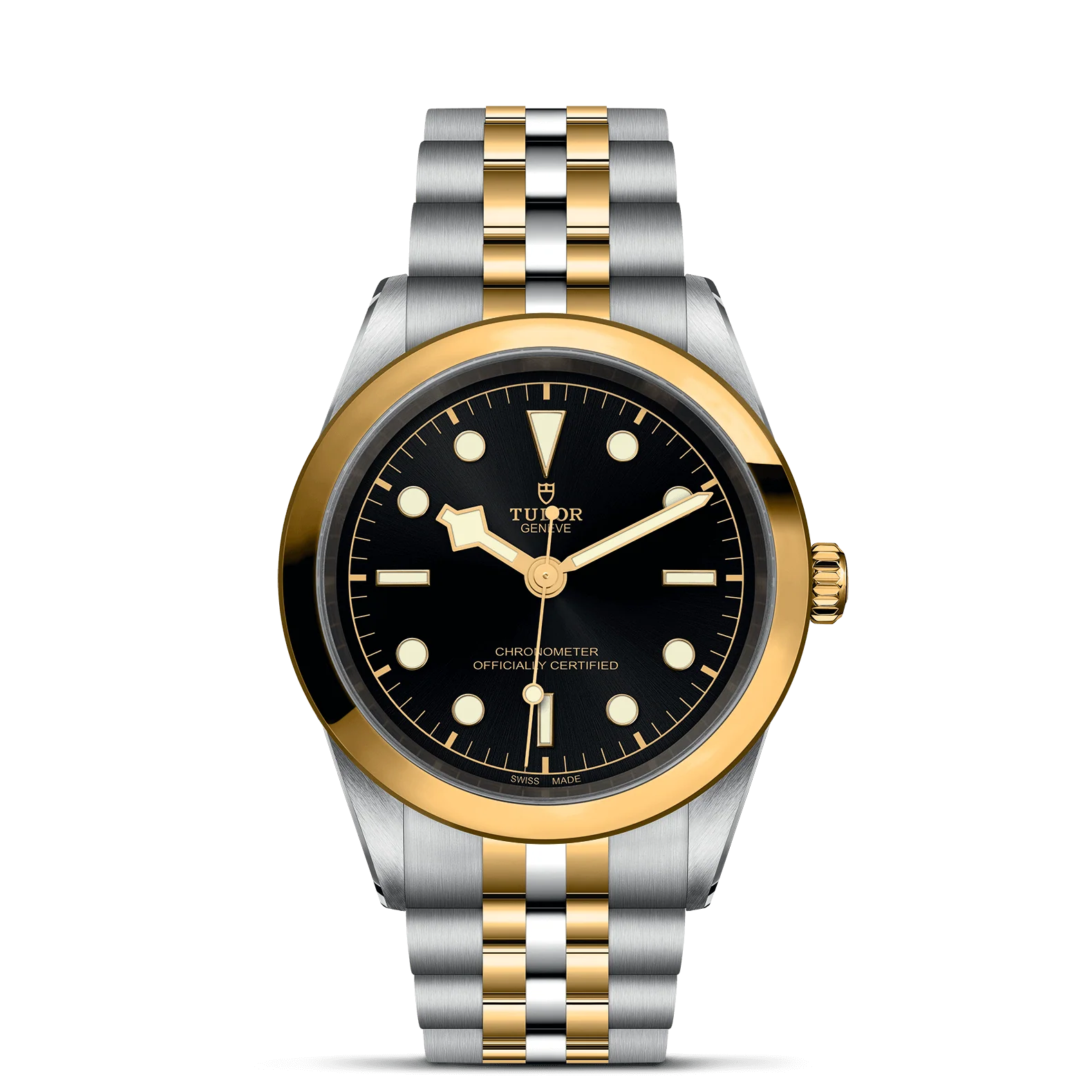 TUDOR Black Bay S&G 41mm Case, Anthracite Dial, Steel Strap (M79683-0001)