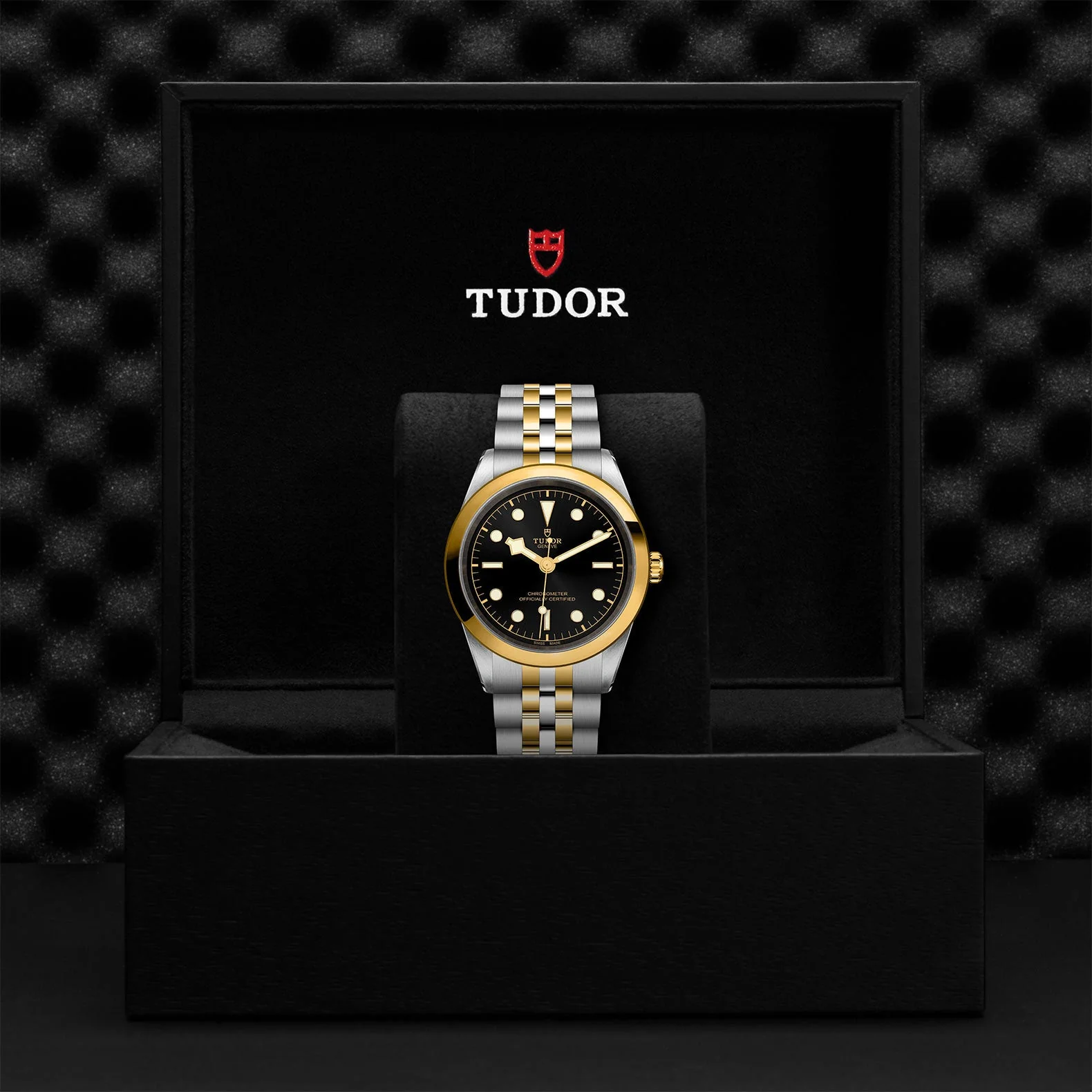 TUDOR Black Bay S&G 41mm Case, Anthracite Dial, Steel Strap (M79683-0001) - Image 2